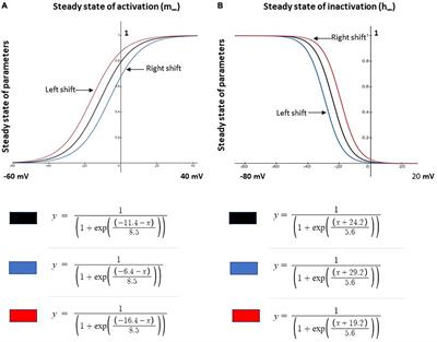 Computational modeling to study the impact of changes in Nav1.8 sodium channel on neuropathic pain